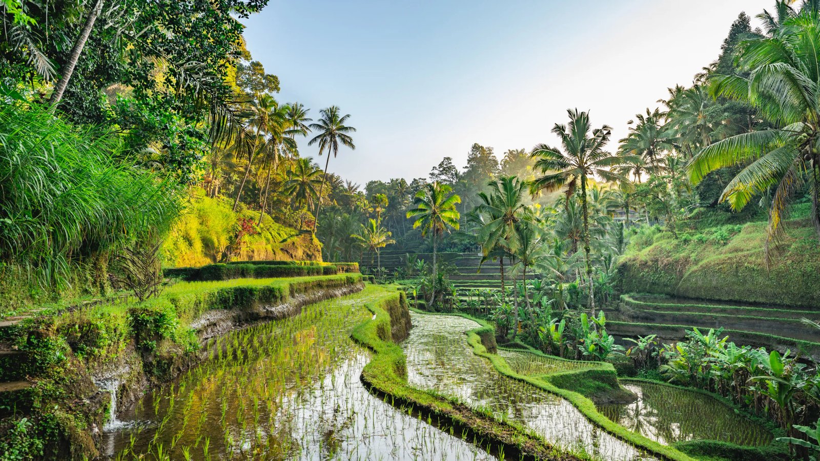 Bali temple